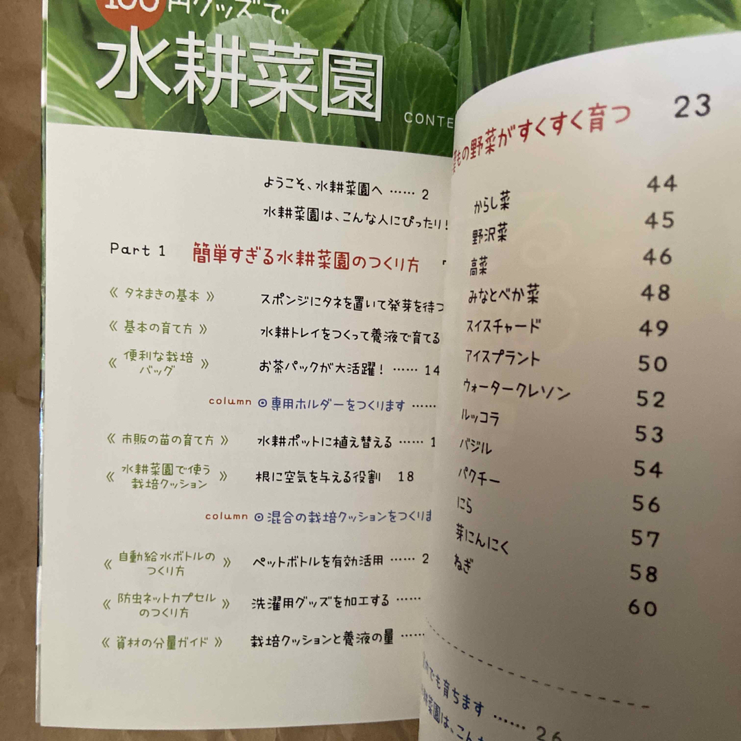 １００円グッズで水耕菜園 エンタメ/ホビーの本(趣味/スポーツ/実用)の商品写真