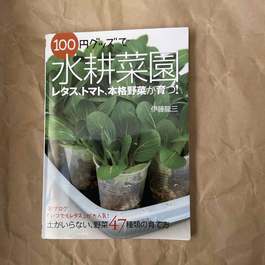 １００円グッズで水耕菜園 エンタメ/ホビーの本(趣味/スポーツ/実用)の商品写真