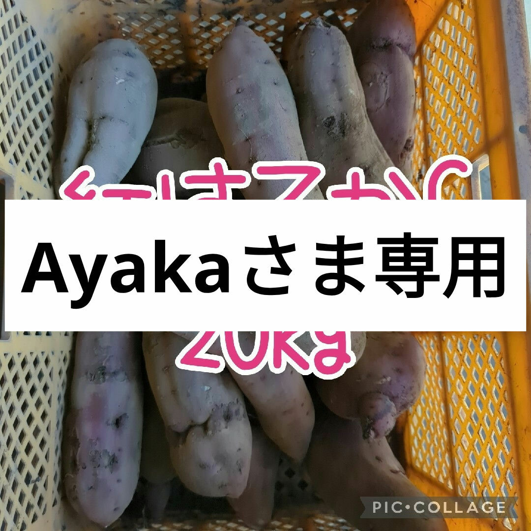 Ayakaさま専用　紅はるかC20kg 食品/飲料/酒の食品(野菜)の商品写真