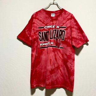 ジャージーズ(JERZEES)のUSA古着　タイダイ染め　半袖Tシャツ　サンドリザード　トカゲ　Lサイズ　J21(Tシャツ/カットソー(半袖/袖なし))