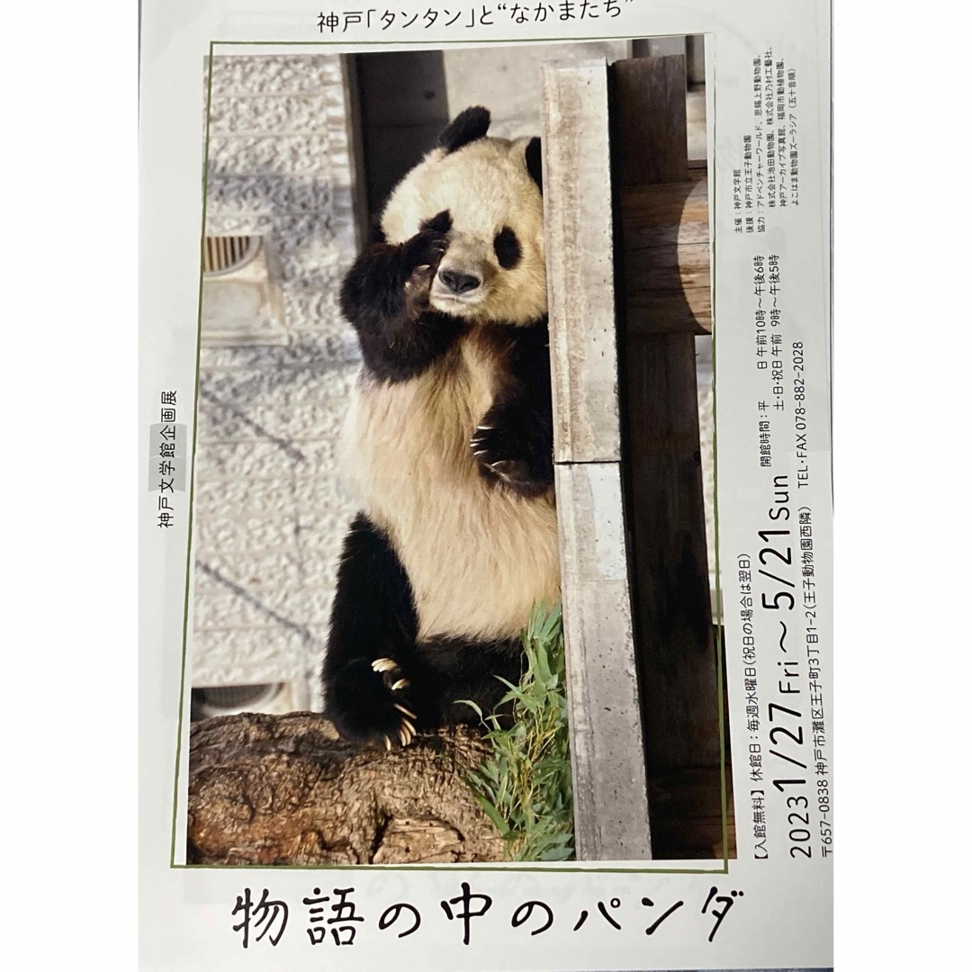 タンタン　神戸王子動物園 Habataki特集号　物語の中のパンダ　フライヤー エンタメ/ホビーのコレクション(印刷物)の商品写真