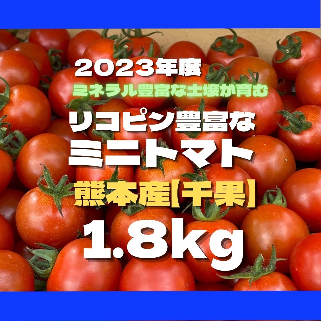 ミニトマト　1.8kg 野菜　熊本産　サイズ混合　ミネラル　にがり　弁当　おやつ 食品/飲料/酒の食品(野菜)の商品写真