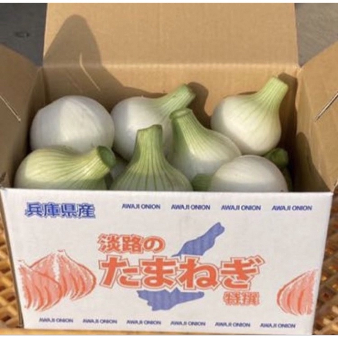 ♡ミキ♡様用 淡路島産新玉ねぎ 3kg×2箱 高糖度 新たまねぎ 新玉葱 食品/飲料/酒の食品(野菜)の商品写真