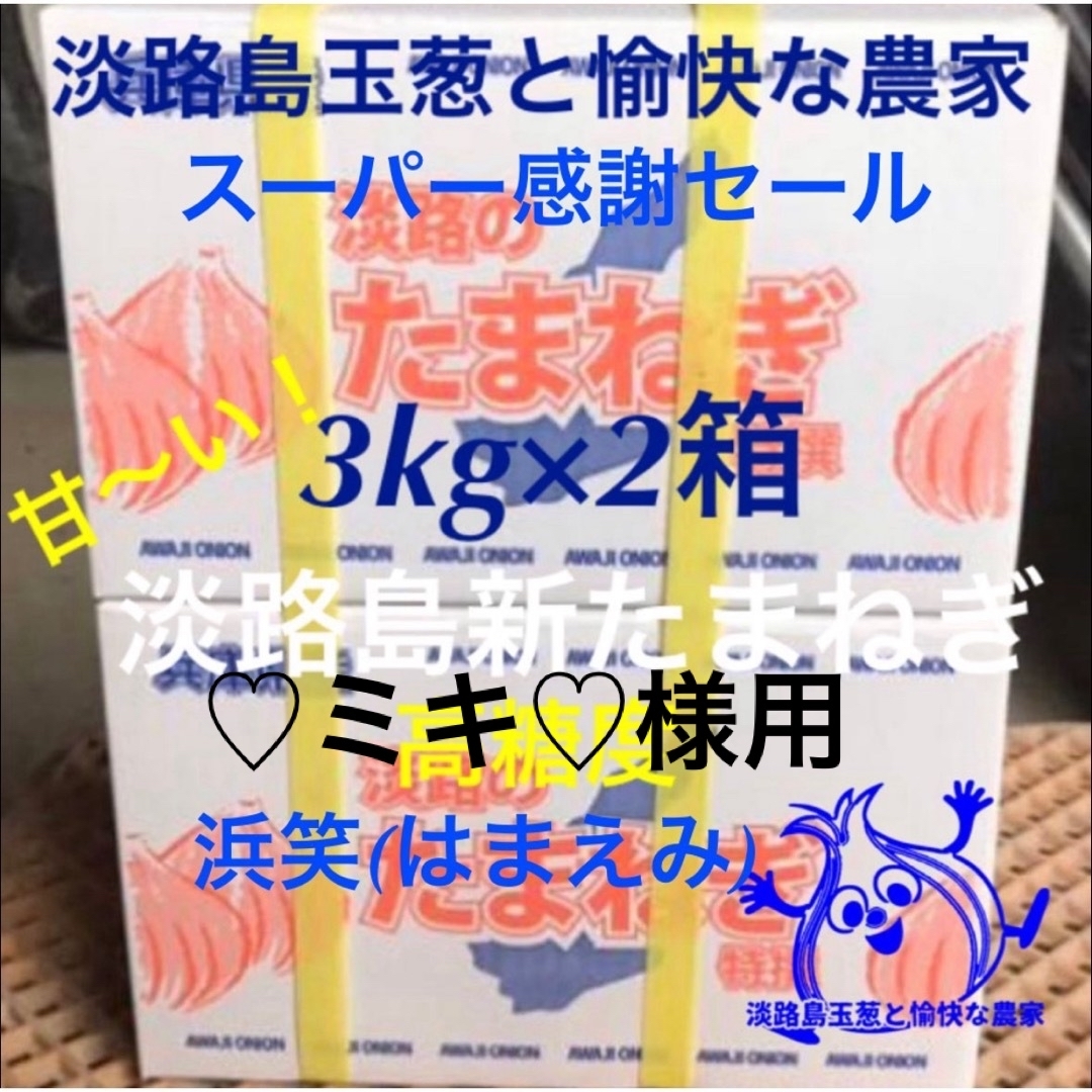 ♡ミキ♡様用 淡路島産新玉ねぎ 3kg×2箱 高糖度 新たまねぎ 新玉葱 食品/飲料/酒の食品(野菜)の商品写真