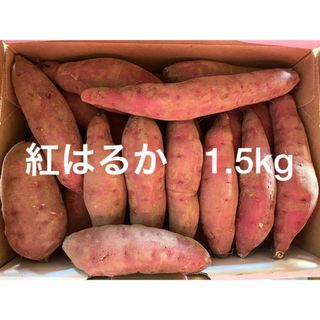 紅はるか　1.5kg さつまいも　小さいサイズ(野菜)