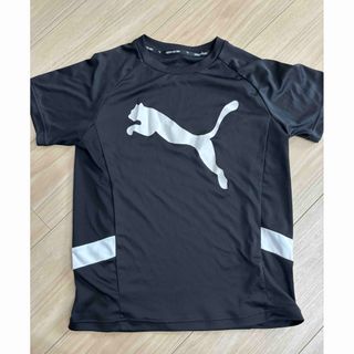 プーマ(PUMA)のプーマ　半袖　Tシャツ　150センチ(Tシャツ/カットソー)