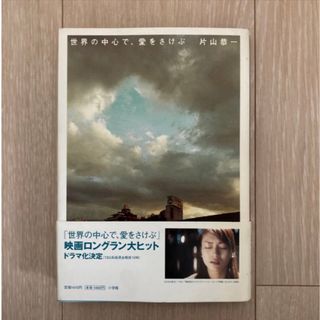 世界の中心で、愛をさけぶ(文学/小説)