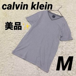 カルバンクライン(Calvin Klein)の【calvin klein】カルバンクライン（M）Tシャツ トップス(Tシャツ/カットソー(半袖/袖なし))