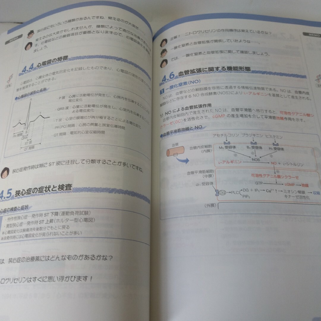 臨床と国試がつながる本　8疾患編 エンタメ/ホビーの本(健康/医学)の商品写真