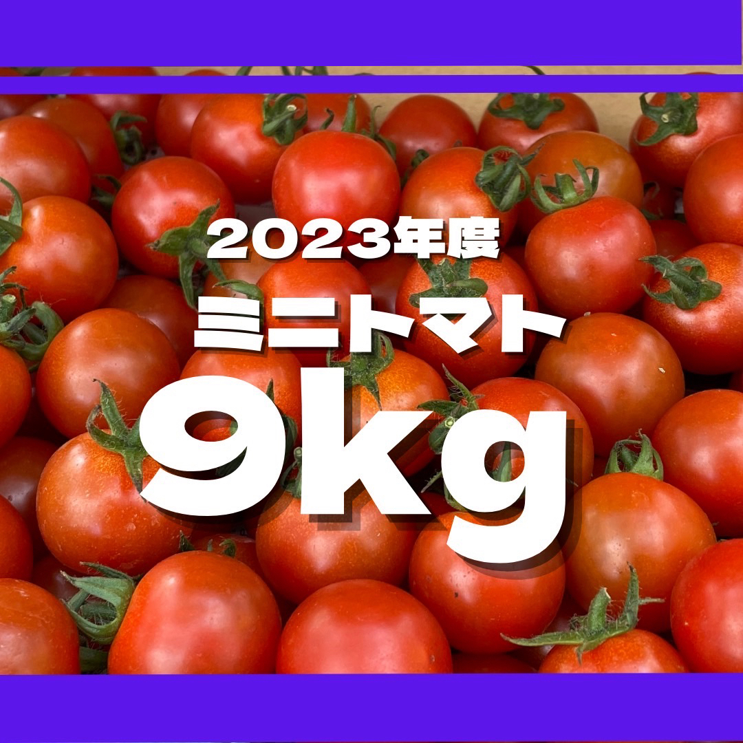 ミニトマト　9キロ　野菜　熊本　おやつ　弁当　おかず　ミネラル　リコピン 食品/飲料/酒の食品(野菜)の商品写真