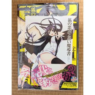 新品☆狐の悪魔と黒い魔導書(青年漫画)