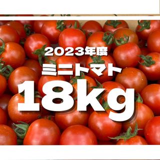 ミニトマト　18キロ　野菜　熊本　おやつ　弁当　おかず　ミネラル　リコピン(野菜)