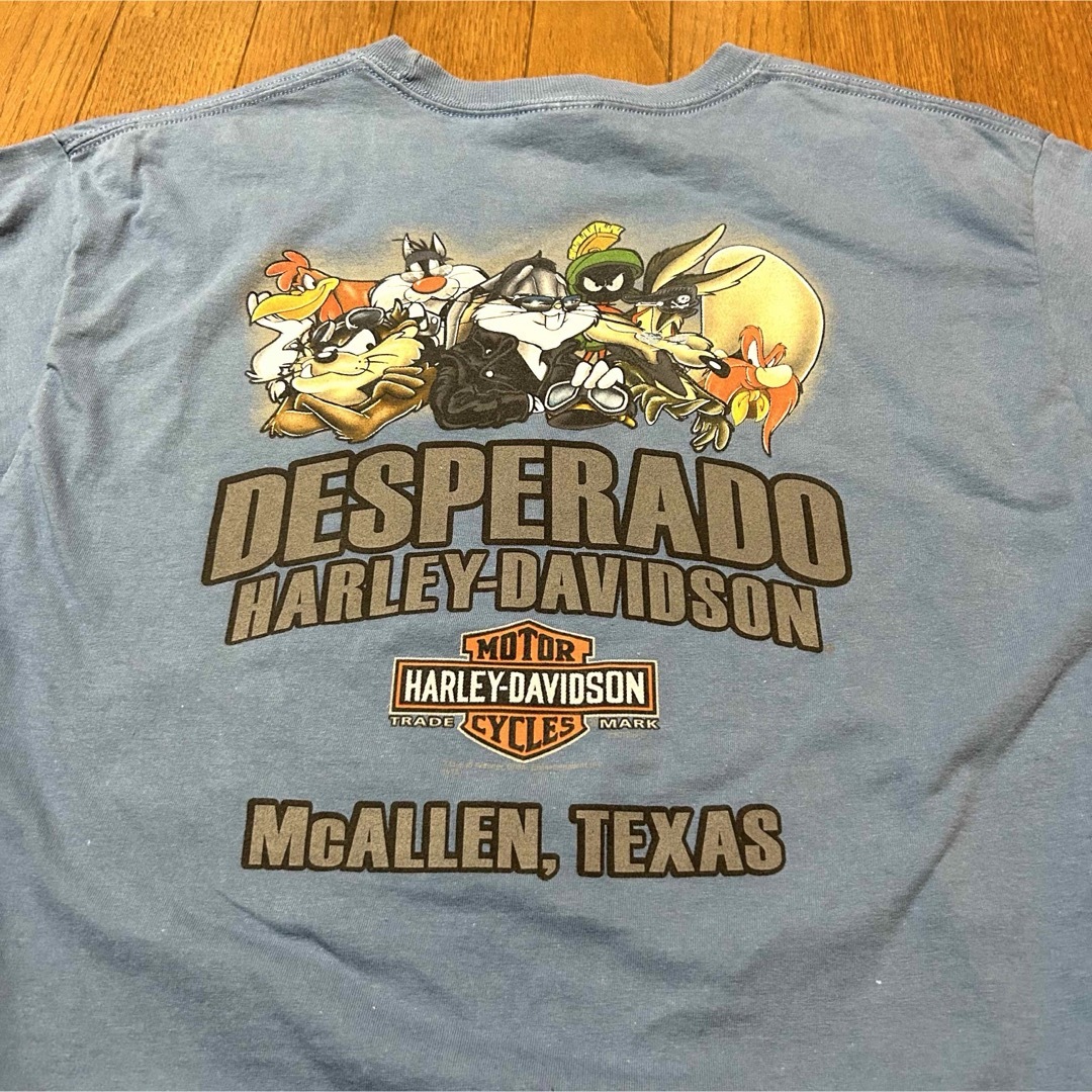 Harley Davidson(ハーレーダビッドソン)のMサイズ！ハーレーダビッドソン×ワーナーブロス 古着半袖Tシャツ メンズのトップス(Tシャツ/カットソー(半袖/袖なし))の商品写真