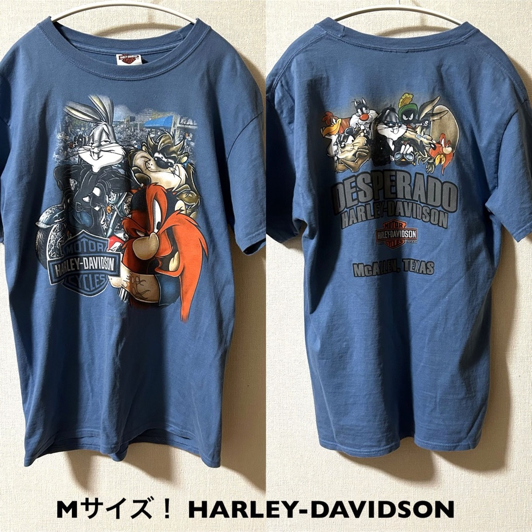 Harley Davidson(ハーレーダビッドソン)のMサイズ！ハーレーダビッドソン×ワーナーブロス 古着半袖Tシャツ メンズのトップス(Tシャツ/カットソー(半袖/袖なし))の商品写真