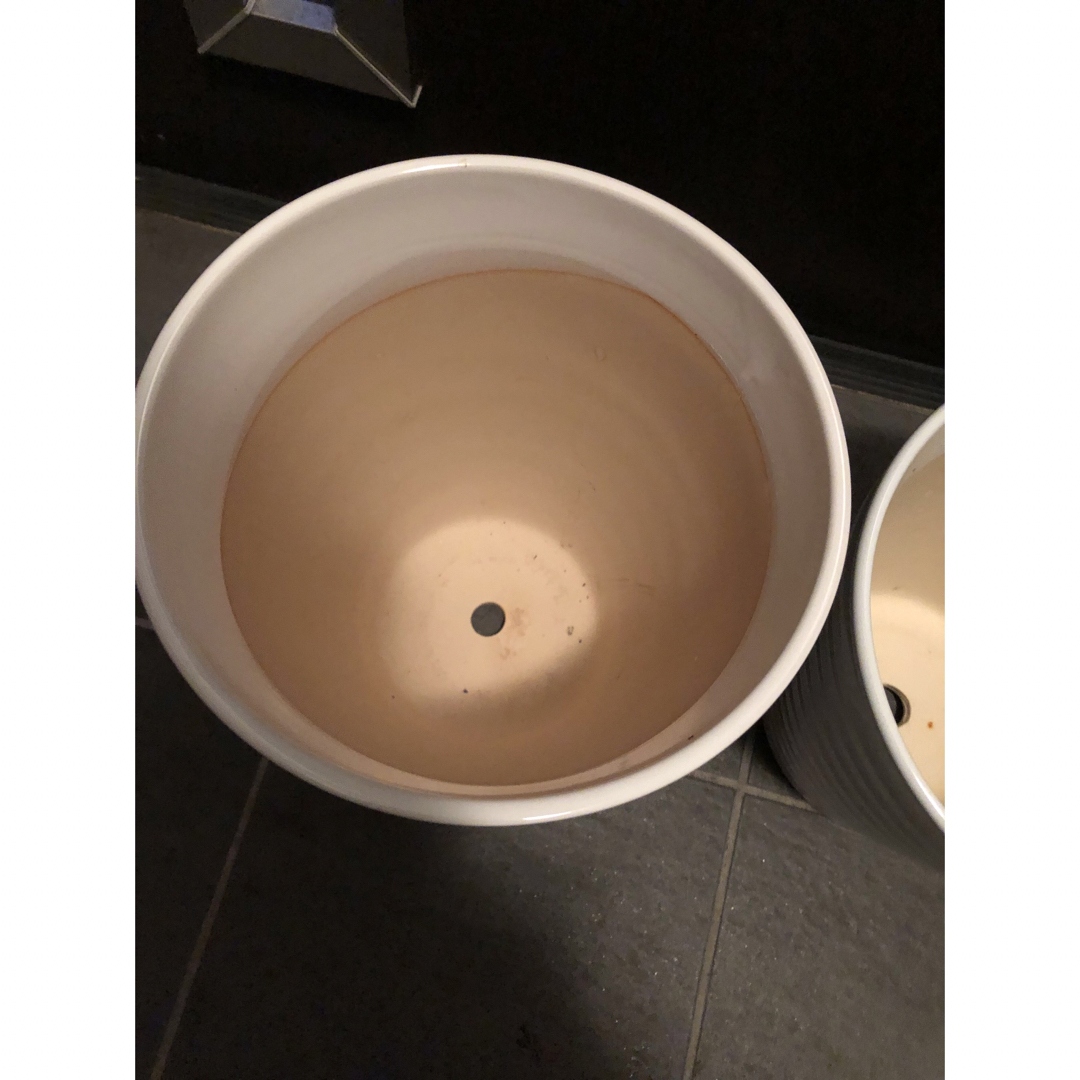 胡蝶蘭　陶器鉢2鉢　白 インテリア/住まい/日用品のインテリア小物(花瓶)の商品写真