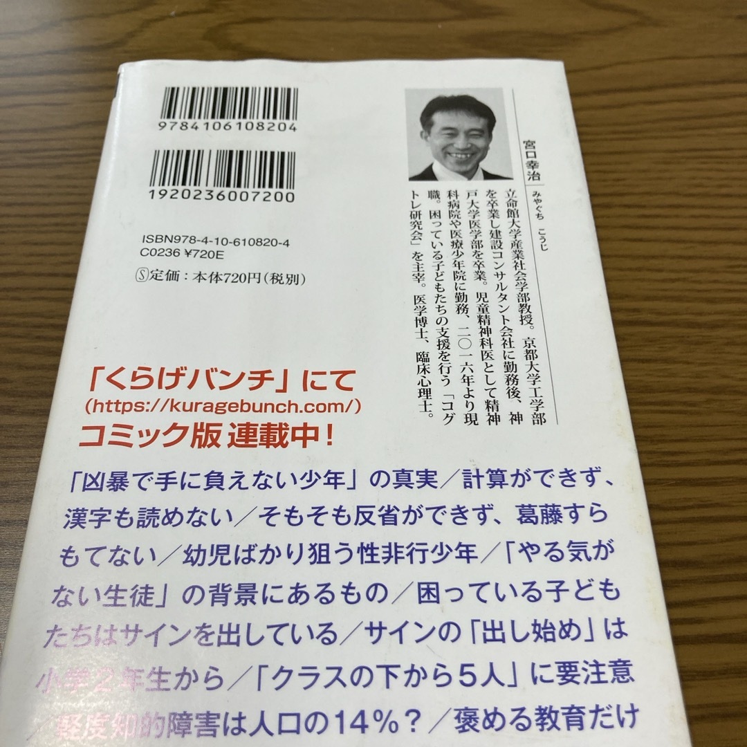 ケーキの切れない非行少年たち　宮口幸治 エンタメ/ホビーの本(その他)の商品写真