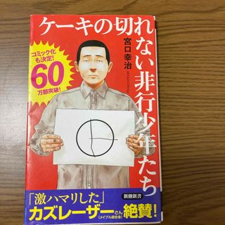 ケーキの切れない非行少年たち　宮口幸治(その他)