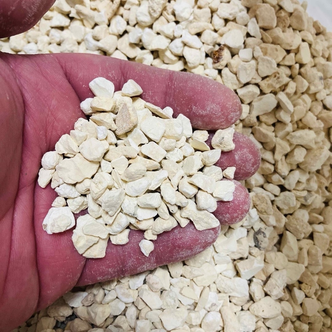 宮城県産 天然ゼオライト 粒状5-10ｍｍ 1kg その他のペット用品(アクアリウム)の商品写真