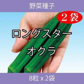 野菜種子 EBD ロングスターオクラ 8粒 x 2袋(野菜)