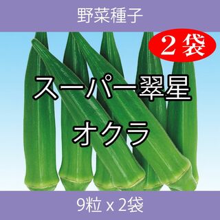 野菜種子 EAP スーパー翠星オクラ 9粒 x 2袋(野菜)