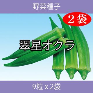 野菜種子 EAQ 翠星オクラ 9粒 x 2袋(野菜)