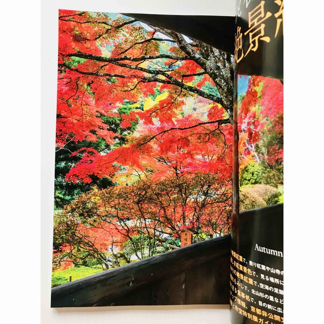 月刊 京都１１月号 『ちょっと秘密の絶景紅葉』 エンタメ/ホビーの本(地図/旅行ガイド)の商品写真