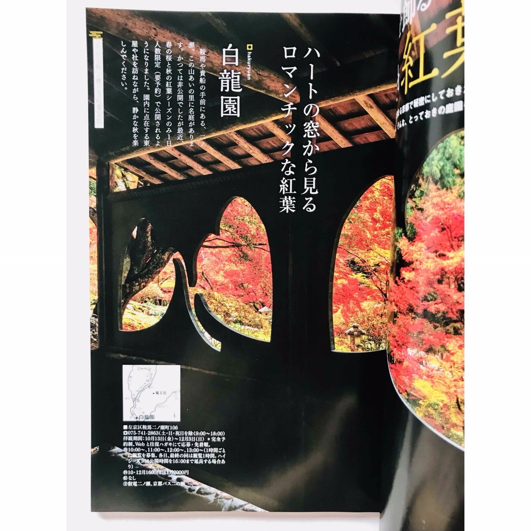 月刊 京都１１月号 『ちょっと秘密の絶景紅葉』 エンタメ/ホビーの本(地図/旅行ガイド)の商品写真