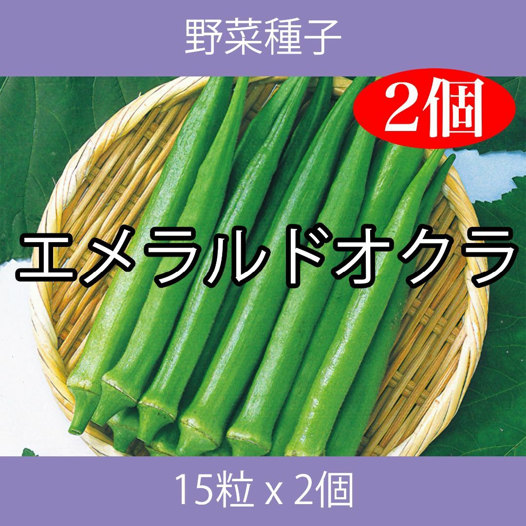 野菜種子 EAR エメラルドオクラ 15粒 x 2個 食品/飲料/酒の食品(野菜)の商品写真