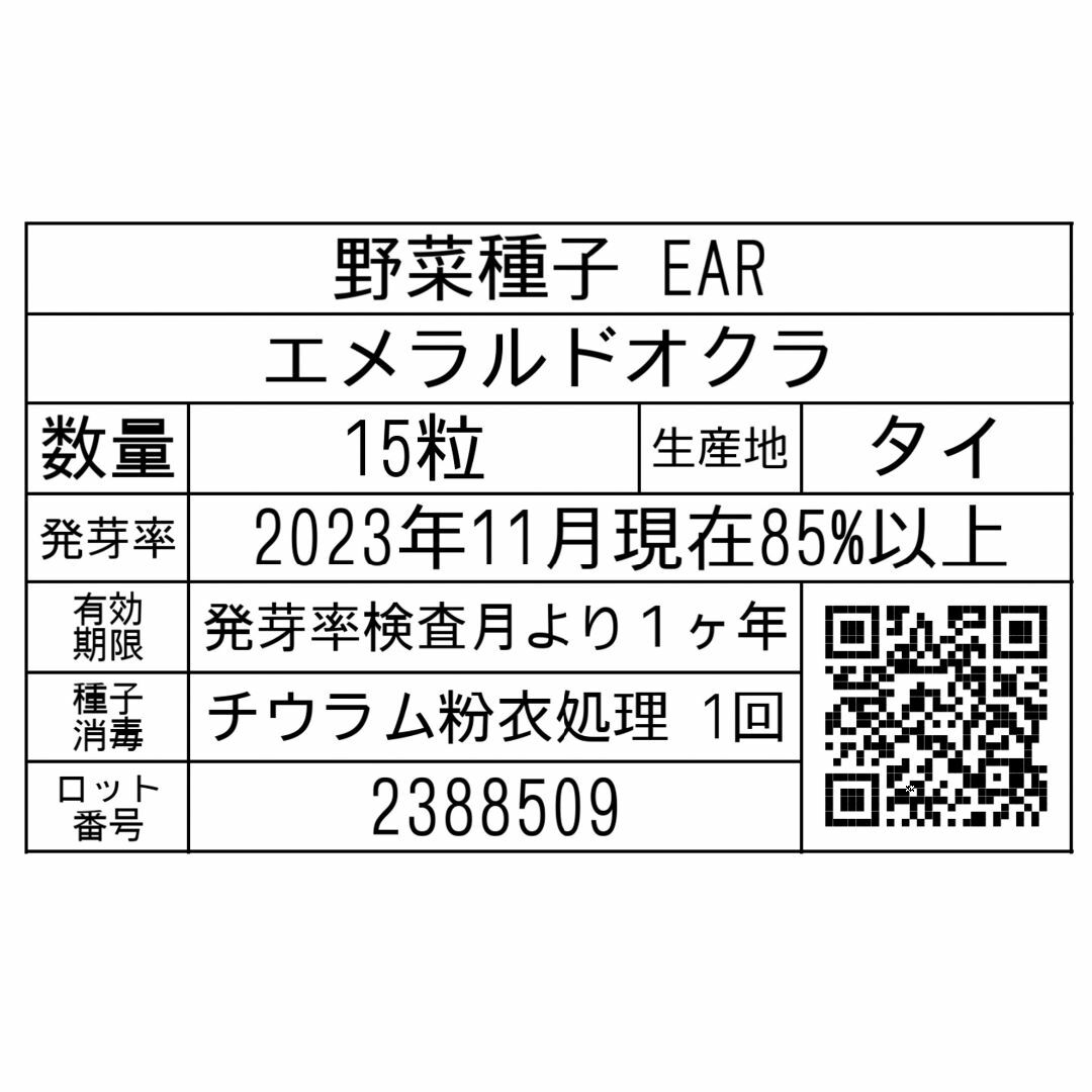 野菜種子 EAR エメラルドオクラ 15粒 x 2個 食品/飲料/酒の食品(野菜)の商品写真