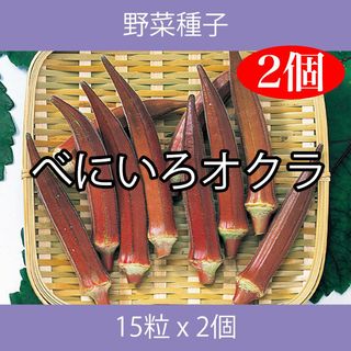 野菜種子 EAT べにいろオクラ 15粒 x 2袋(野菜)