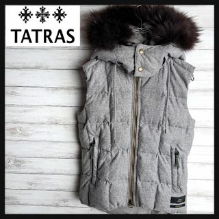 タトラス(TATRAS)の【レアデザイン】タトラス ロバートゲラー ダウンベスト ウール ラクーンファー(その他)