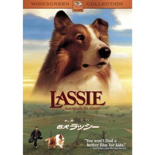 名犬ラッシー(外国映画)