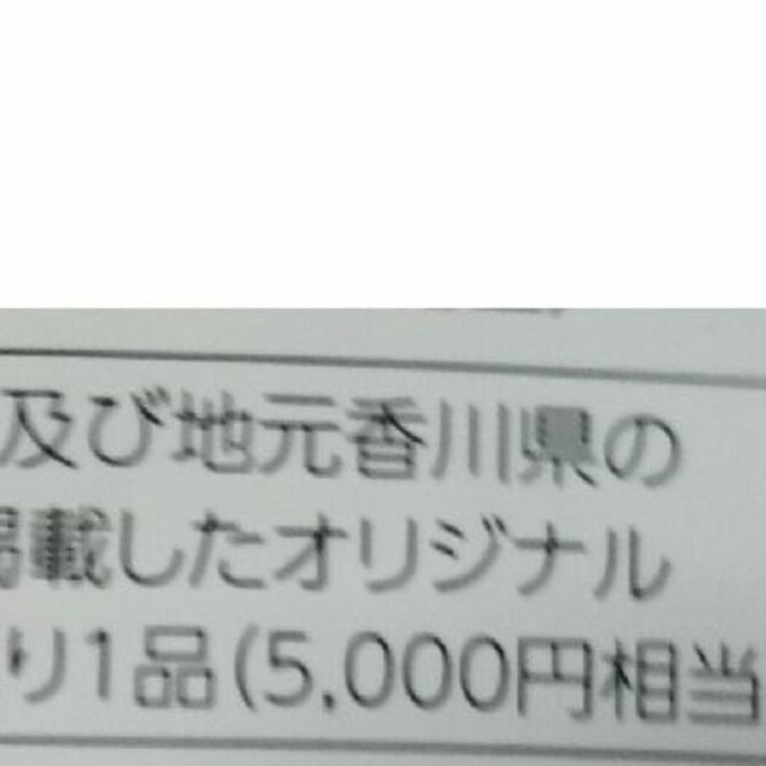 四国化成　株主優待カタログ10000円相当(5000円×2セット)5/15必着 チケットの優待券/割引券(ショッピング)の商品写真