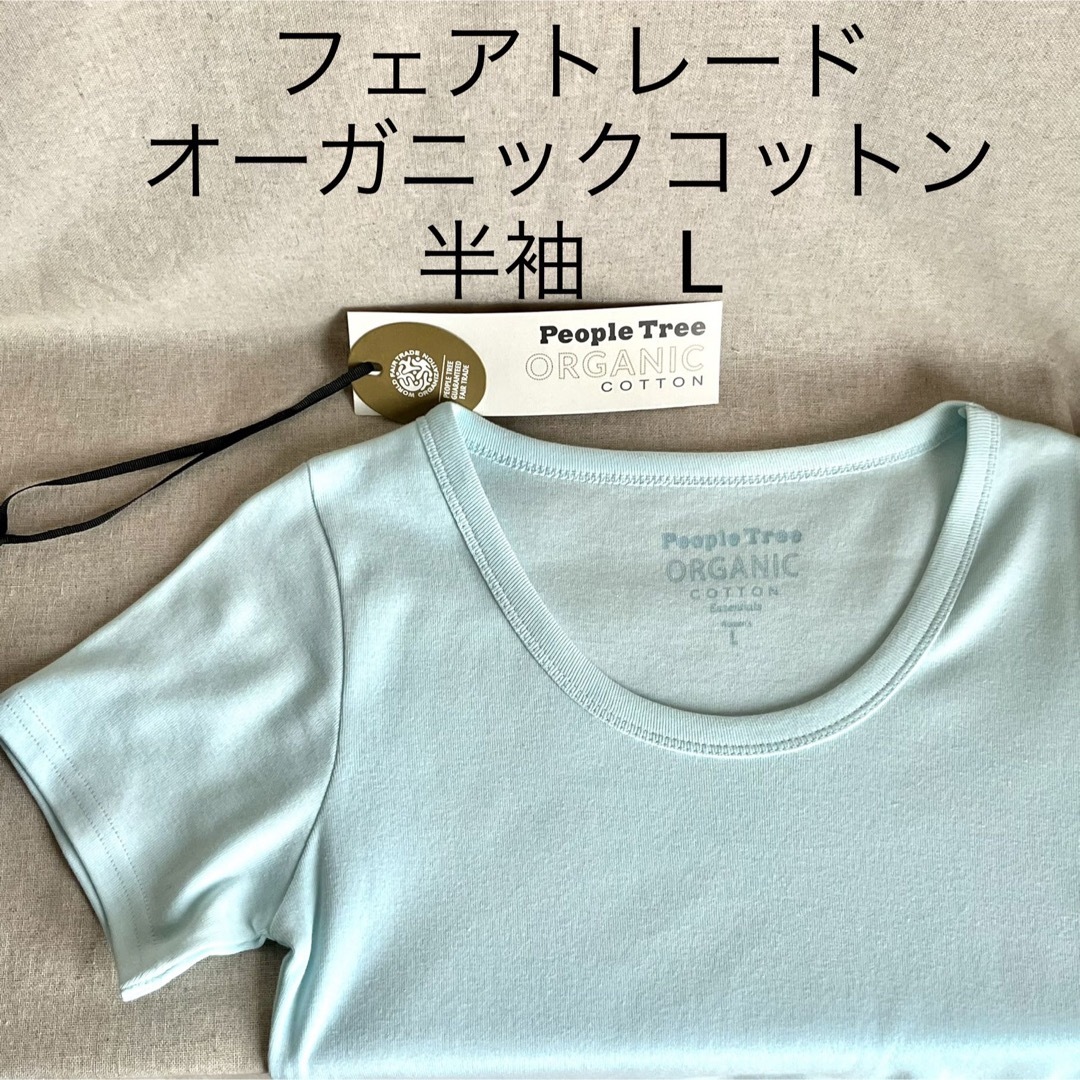 People Tree(ピープルツリー)のピープルツリー　フェアトレード　オーガニックコットン　Tシャツ　水色　L レディースのトップス(Tシャツ(半袖/袖なし))の商品写真