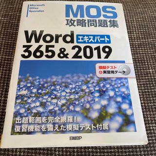 ニッケイビーピー(日経BP)のＭＯＳ攻略問題集Ｗｏｒｄ３６５＆２０１９エキスパート(コンピュータ/IT)