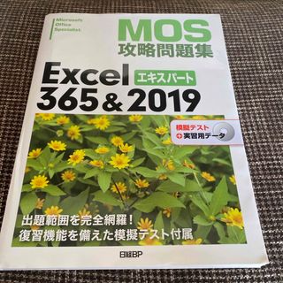 ニッケイビーピー(日経BP)のＭＯＳ攻略問題集Ｅｘｃｅｌ３６５＆２０１９エキスパート(コンピュータ/IT)