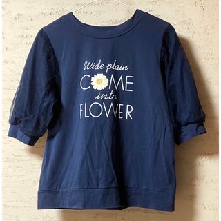 リンジィ(Lindsay)のリンジィ　Lindsay Tシャツ　中古美品(Tシャツ/カットソー)