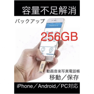 256GB usbフラッシュメモリ　USB　フラッシュドライブ　バックアップ(その他)