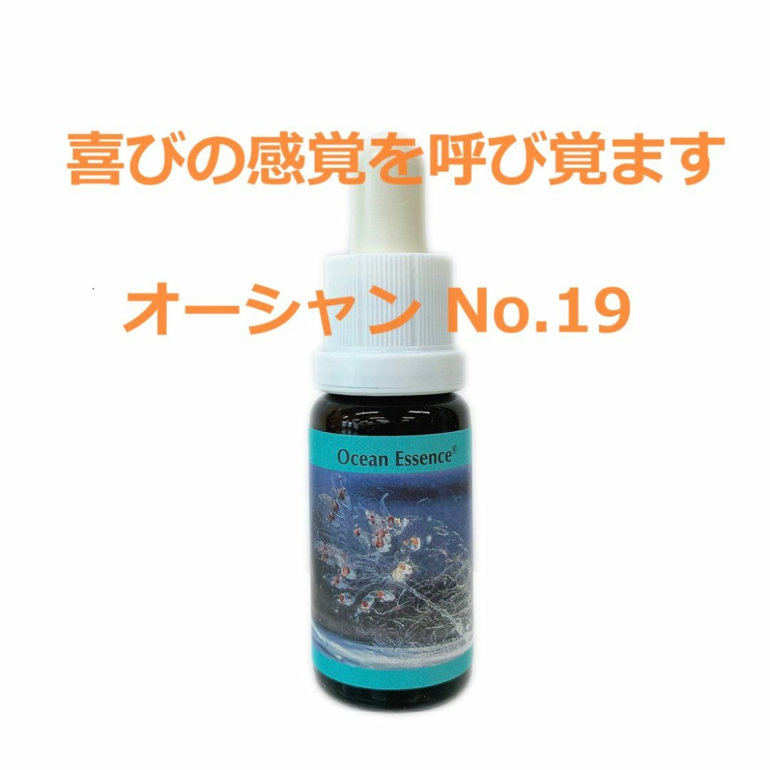 オーシャンエッセンス No.19　コルテPHIエッセンス インテリア/住まい/日用品のキッチン/食器(グラス/カップ)の商品写真