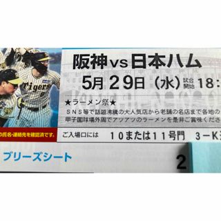 ハンシンタイガース(阪神タイガース)の5/29(水)　阪神日本ハム　通路横ブリーズシートペア(野球)