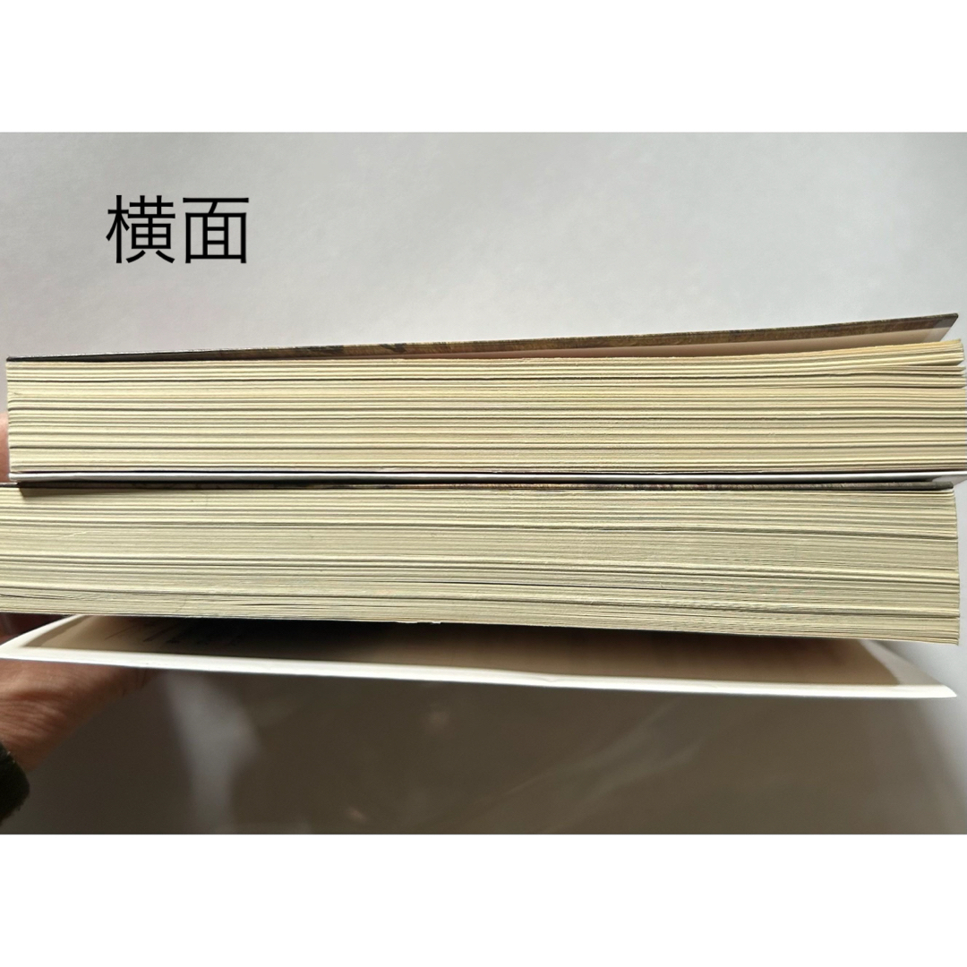ジェノサイド　上下　セット　高野和明 エンタメ/ホビーの本(その他)の商品写真