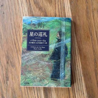 星の巡礼(文学/小説)