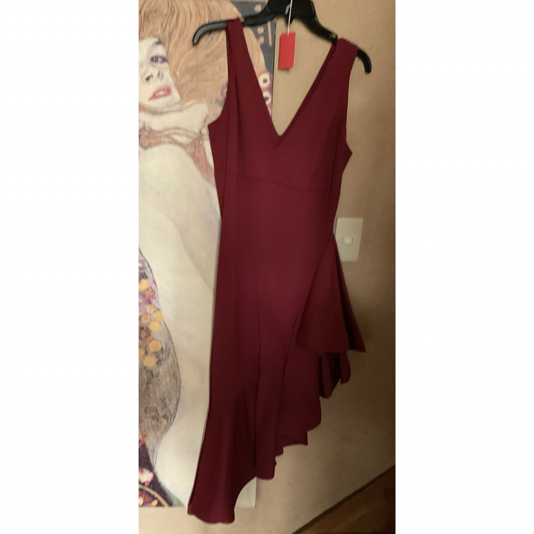 TADASHI SHOJI(タダシショウジ)の新品 USA COCKTAIL DE MAROON  L レディースのワンピース(ロングワンピース/マキシワンピース)の商品写真