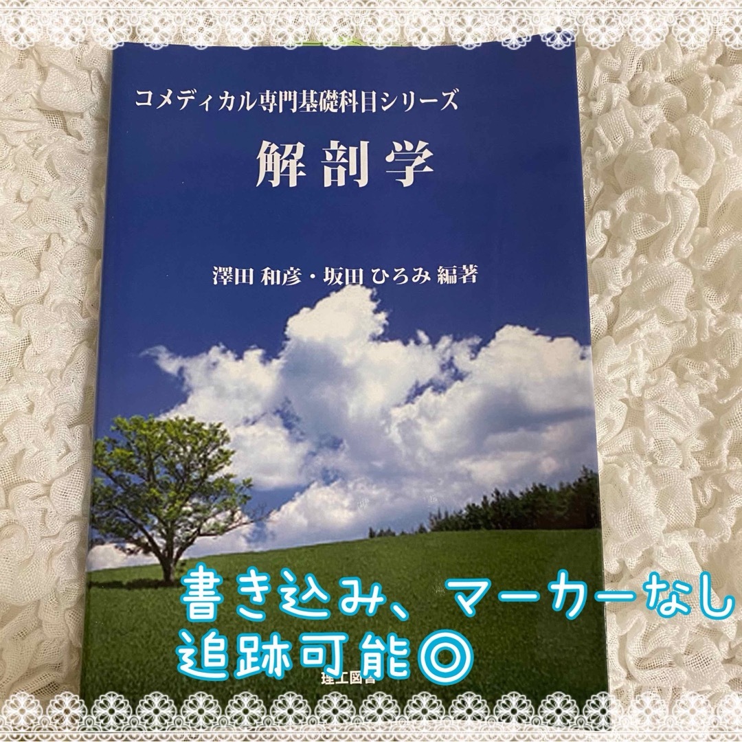 コメディカル専門基礎科目シリーズ 解剖学 エンタメ/ホビーの本(健康/医学)の商品写真