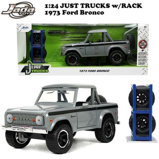 w/RACK & WHEELS 1973 FORD BRONCO ミニカー(ミニカー)