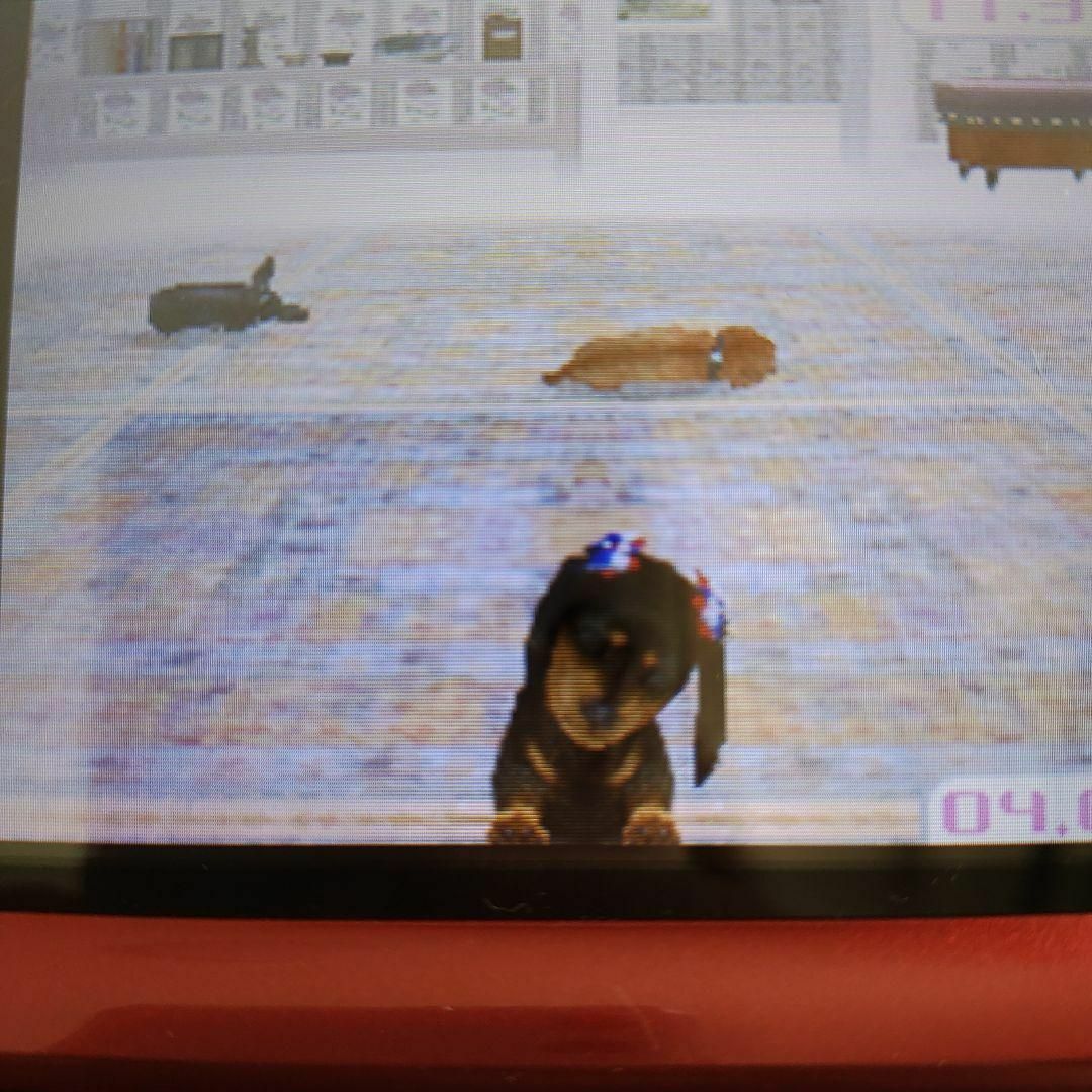 ニンテンドーDS(ニンテンドーDS)のnintendogs ダックス＆フレンズ エンタメ/ホビーのゲームソフト/ゲーム機本体(携帯用ゲームソフト)の商品写真