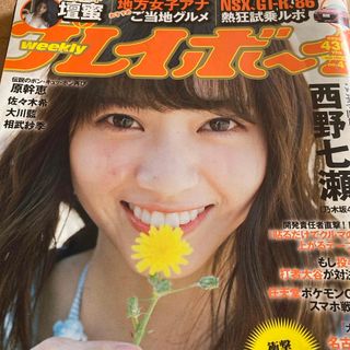 週刊 プレイボーイ 2016年 10/10号 [雑誌](その他)