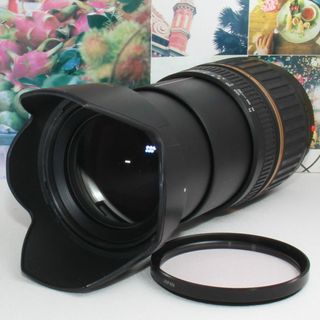 タムロン(TAMRON)の❤️１本で近遠対応の神レンズ❤️タムロン 18-200mm ソニーaマウント用(デジタル一眼)