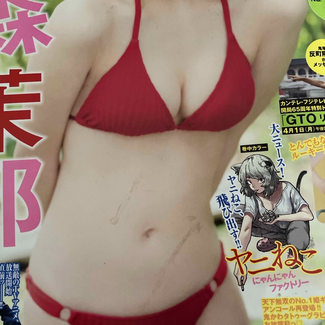 ヤングマガジン 2024年 4/15号 [雑誌] エンタメ/ホビーの雑誌(アート/エンタメ/ホビー)の商品写真