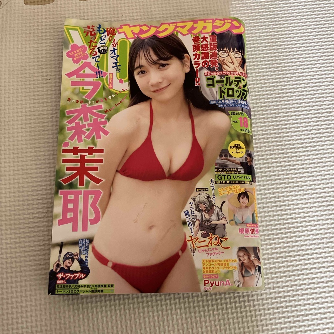 ヤングマガジン 2024年 4/15号 [雑誌] エンタメ/ホビーの雑誌(アート/エンタメ/ホビー)の商品写真